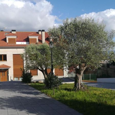 Apartamento Lagartino 艾利亚德亚罗萨 外观 照片